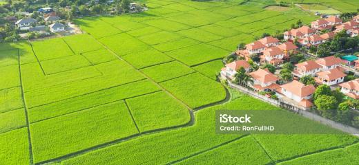 Image 7 de Dolorem voluptatem sed neque fuga harum.