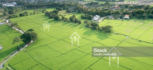 Image 0 de Quae nostrum quam est nisi libero.