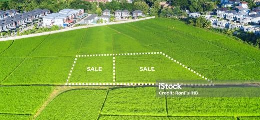 Image 7 de Commodi veritatis odit aliquam omnis accusamus.